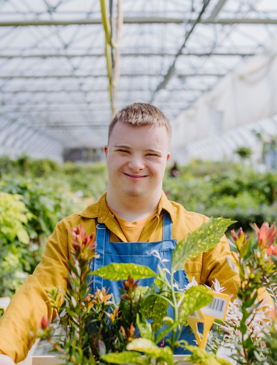 A young man with Down syndrome working in garden centre, carrying basket with plants.